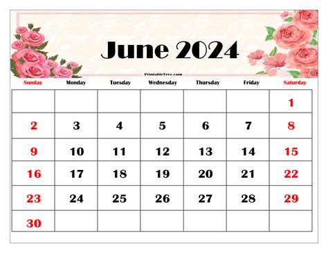 Auction results 24 – 30 June 2024 .